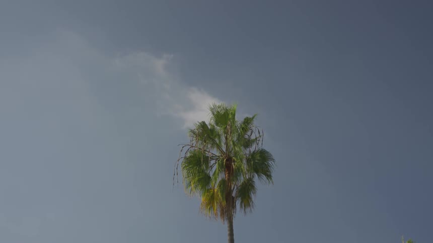 La Beach Day