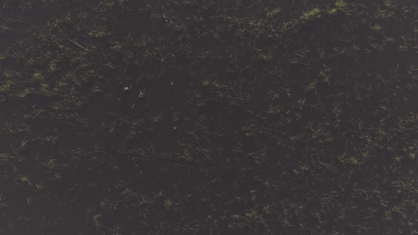 Lake Aerials