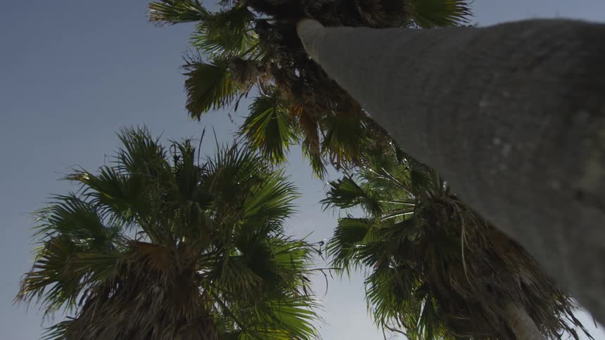 La Beach Day