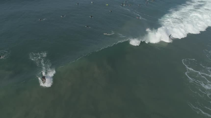 La Beach Day