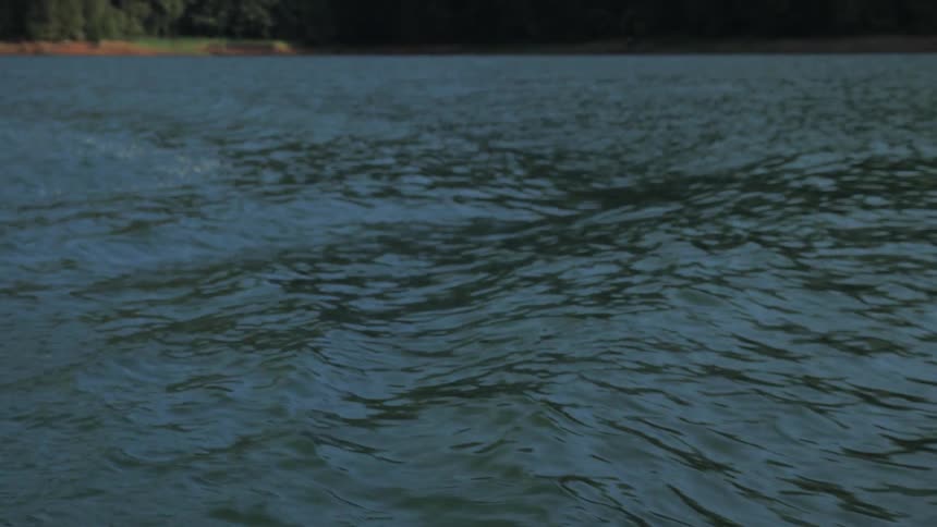Man Driving Boat Around Lake