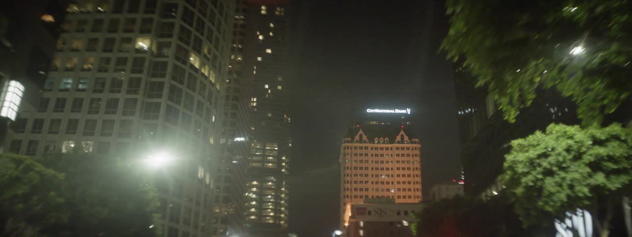 Downtown La At Night