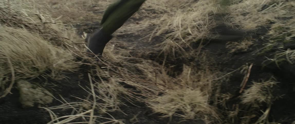 Pilot Surviving After Flight Crash