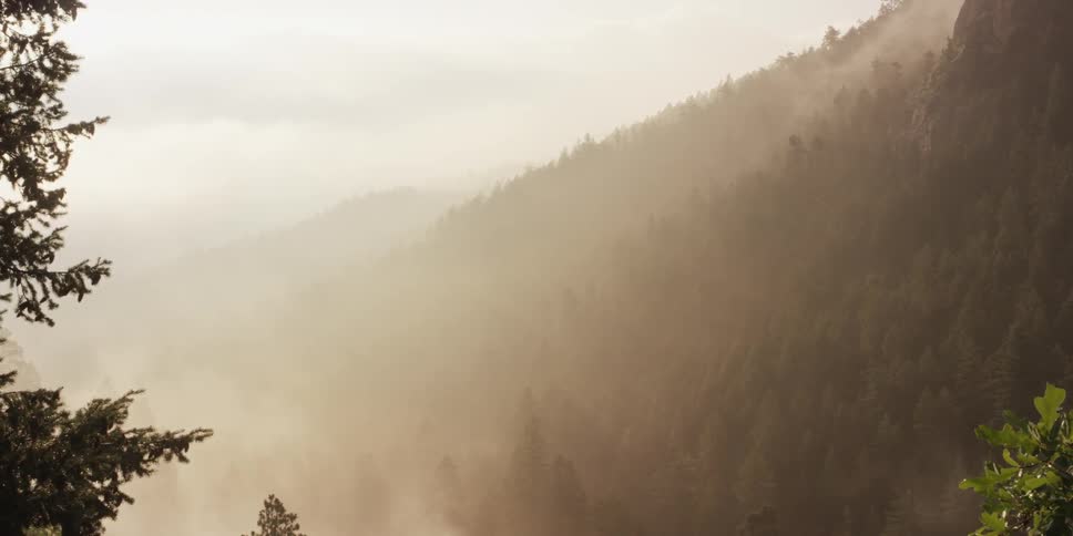 Tree covered hills with heavy fog on a cloudy day