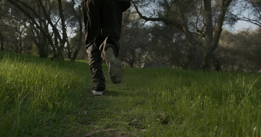 Person running along a grass field towards trees