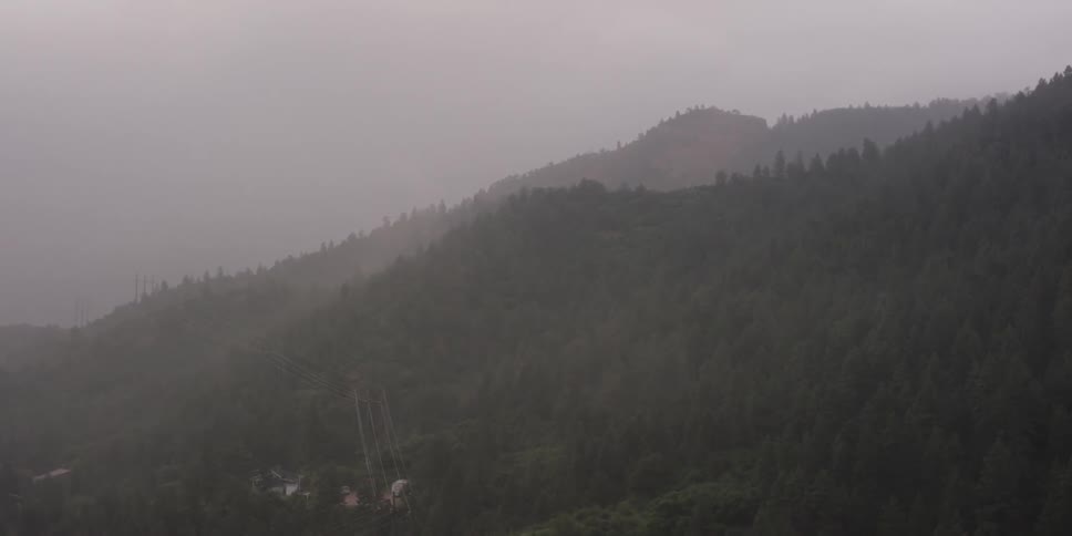 A gloomy and foggy day in the mountain forest