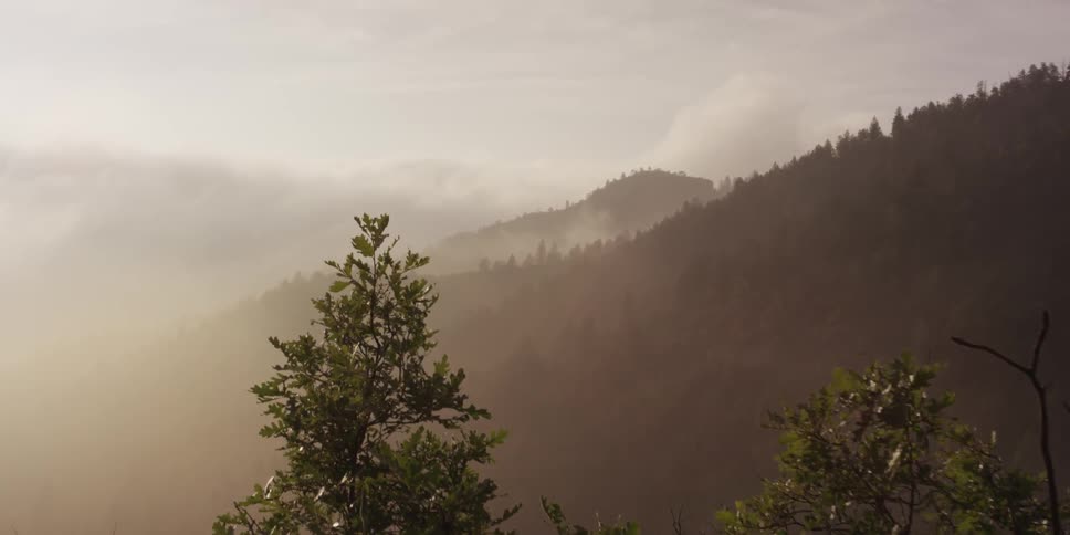View of some hills covered in trees and fog