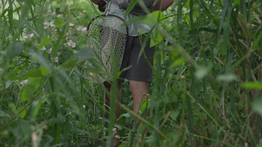 A man carries a fishing net while walking through tall weeds and plants