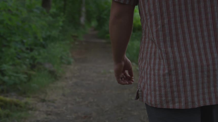 A man walking down a trail in the middle of a forest