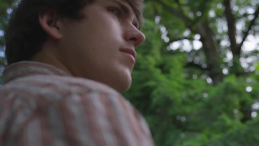A child looks up in the forest