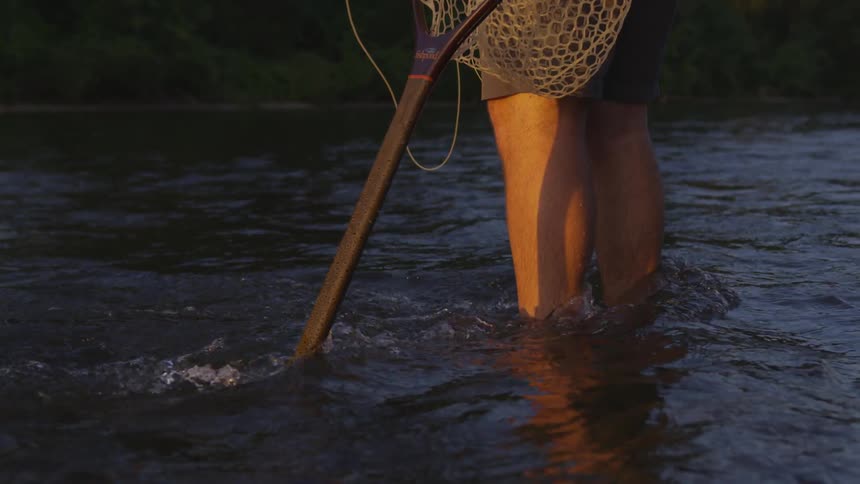 A man stands in a river fishing on a sunny day