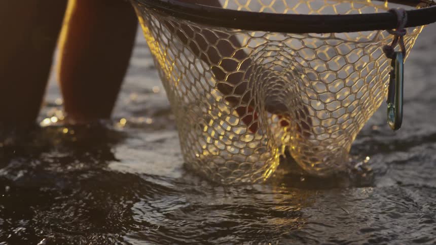 A man is reaching into a fishing net