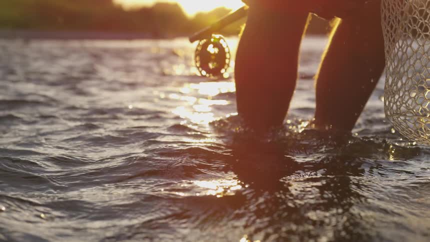 A person standing in ankle deep water at sunset places a fish back in the water while holding a fishing net and a fishing rod in their other hand