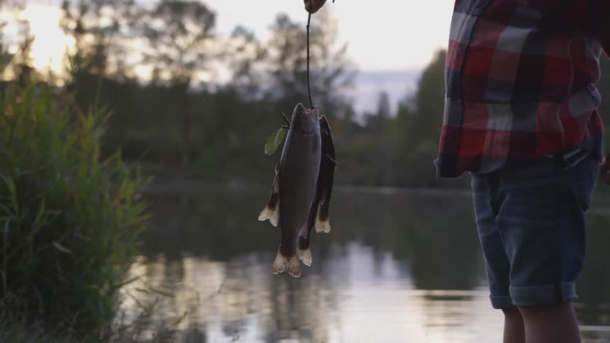 A boy holds three fish suspended in the air from a stick