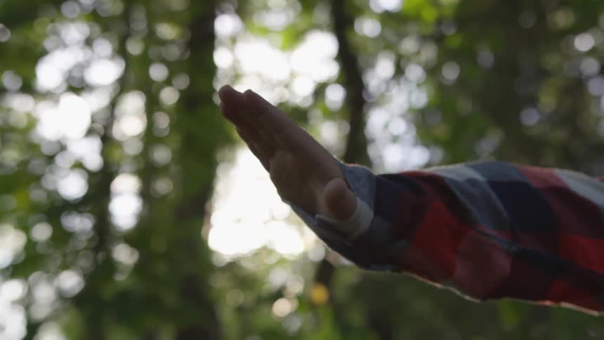 A person wearing a flannel shirt holds their hand out as they move in a forest