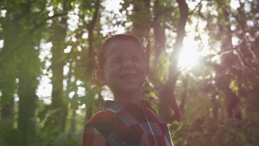 A child is standing outside in a forest at sunset