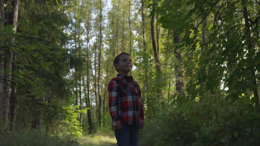 Young boy in a plaid shirt stands on a forest path surrounded by trees