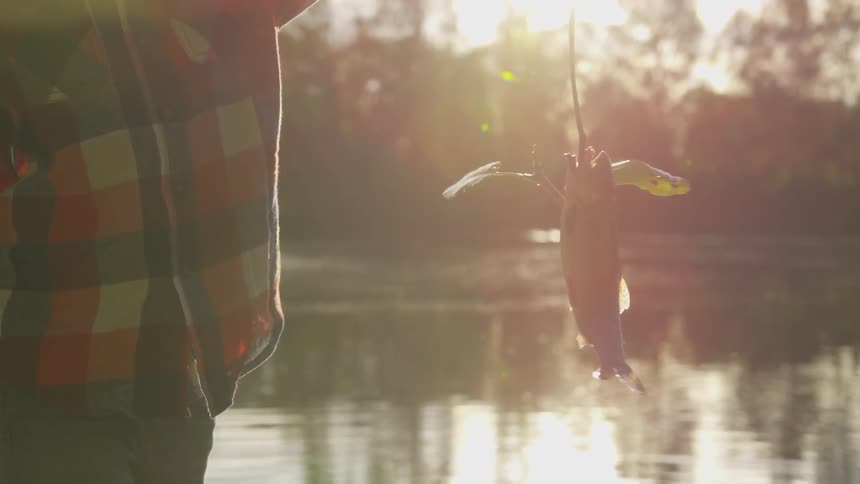 A small boy is holding up a wriggling fish on a fishing line that he just caught in a nearby river