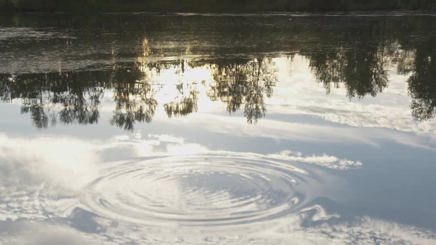 Ripples spread out in a circle on a lake which is reflecting the surrounding trees and blue sky