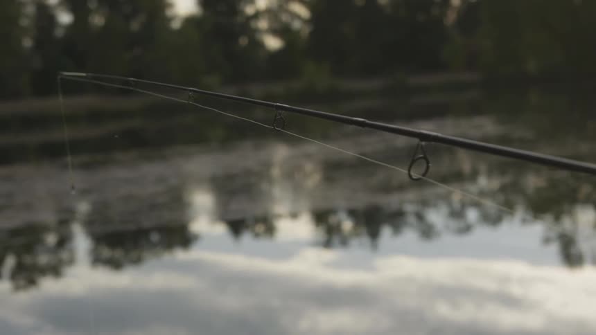 Fishing rod lifts above a lake