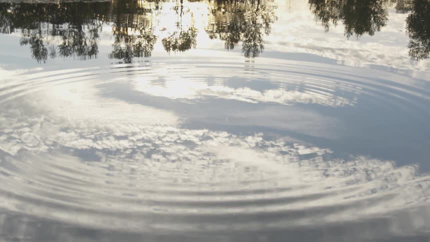 Ripples flow through the water