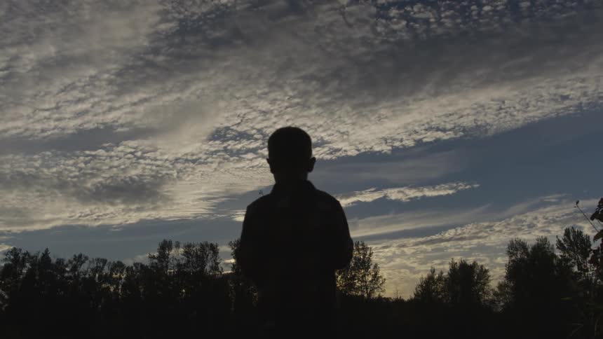 A boy is silhouetted on a cloudy sky and trees trees