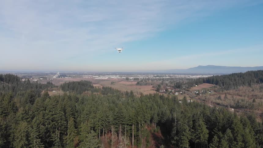 Drone flies over the trees in day time