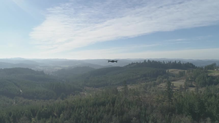 A drone hovers over a forest on a sunny day