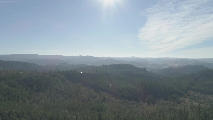 I see an airplane flying in the horizon above the trees