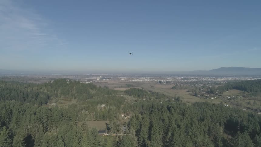 Drone flying high over trees