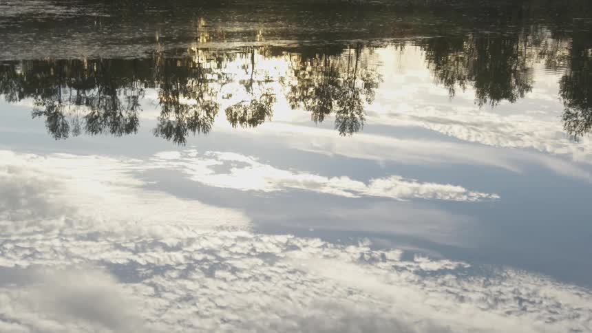 Lake reflects the forest and the clouds in the water
