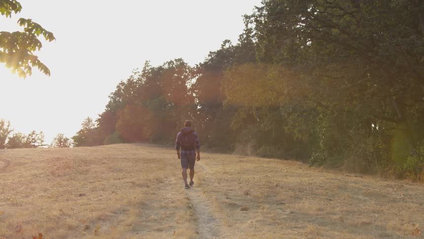A man walks on a grassy trail near a tree line on a sunny day