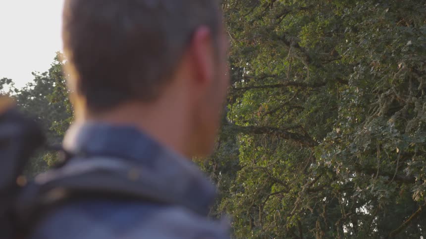 Man standing in nature looks at tree