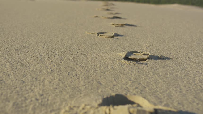 There is a single line of footprints in the sand on a beach that leads to a densely forested area