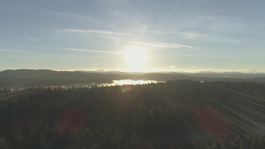 The sun shines on trees and reflects off the lake