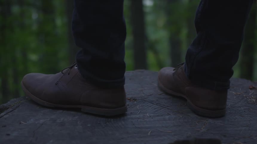 A person stand on top of a tree stump