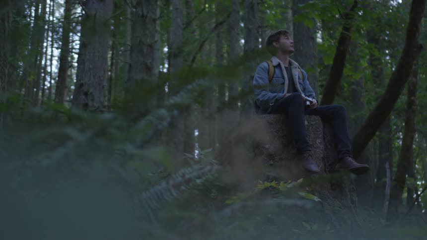 Man sitting on tree trunk looks around in woods at dusk