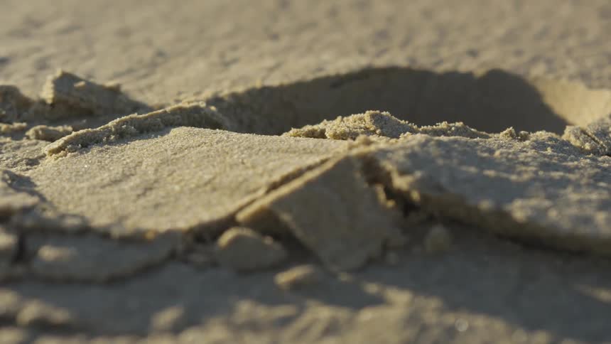 A footprint in the middle of a sandy area in the desert