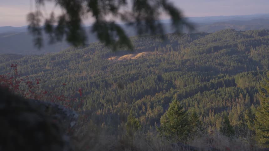 There is grass and trees covering the mountains