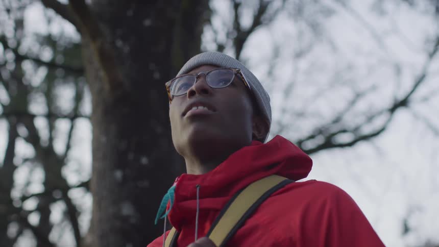 A person wearing glasses and a red coat stands near trees and looks up at the sky