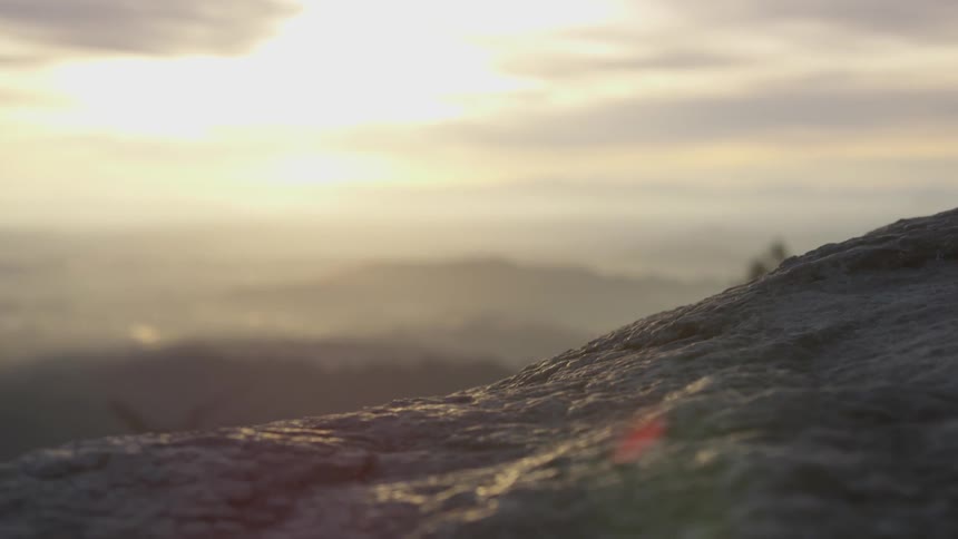 Trees in the distance from the top of a rocky mountain