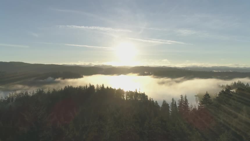 A flying shot of a forest and a lake