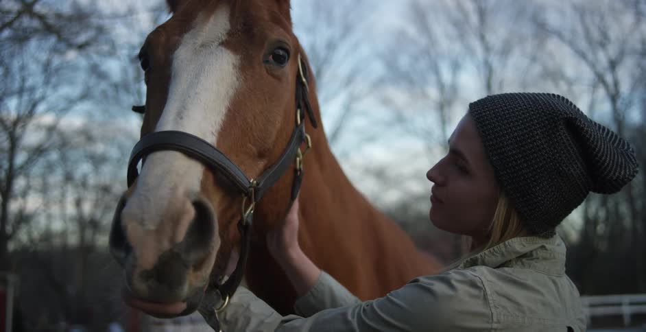 Woman embraces her horse outdoors on a cold day