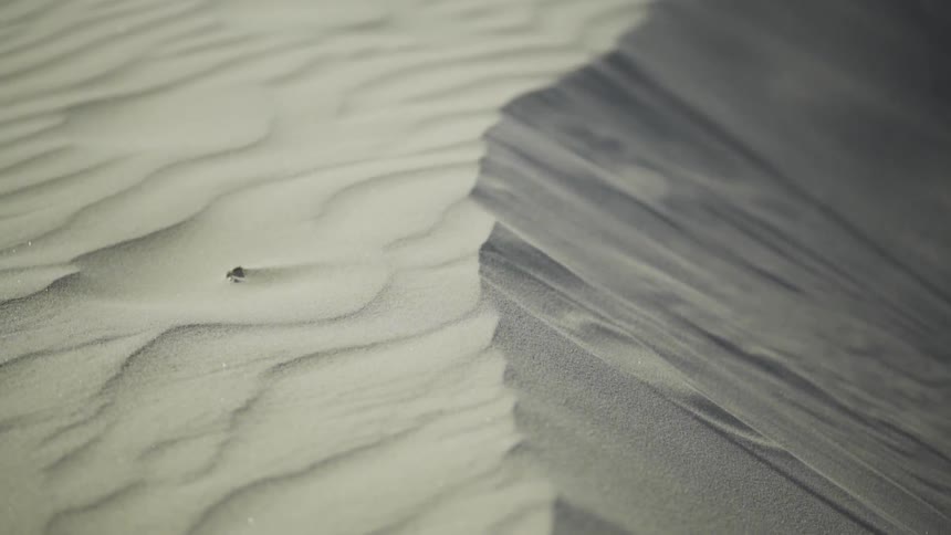 Wind blowing sand on a desolate dune