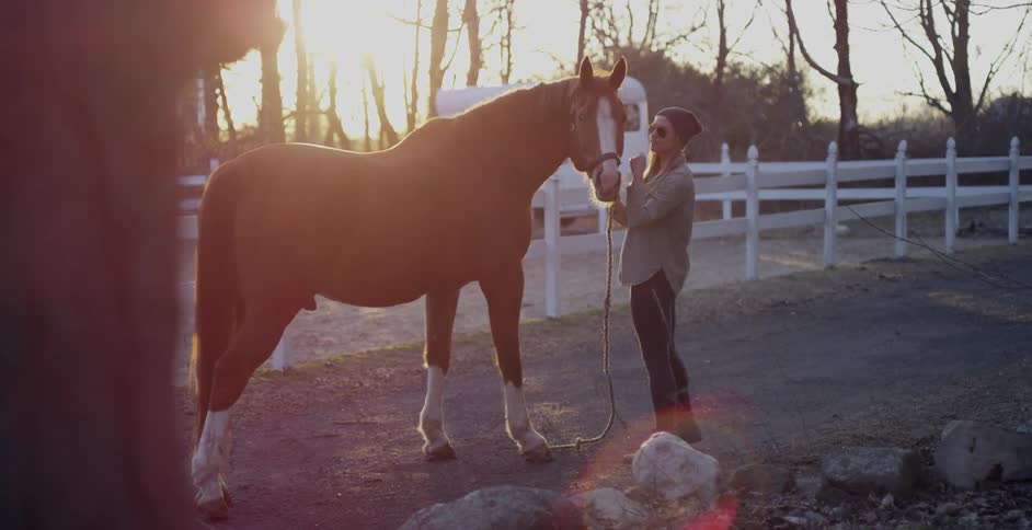 A woman pets a horse early in the morning