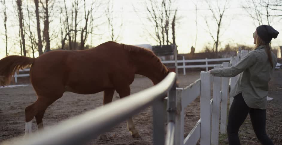 A horse bucking while a woman looks on