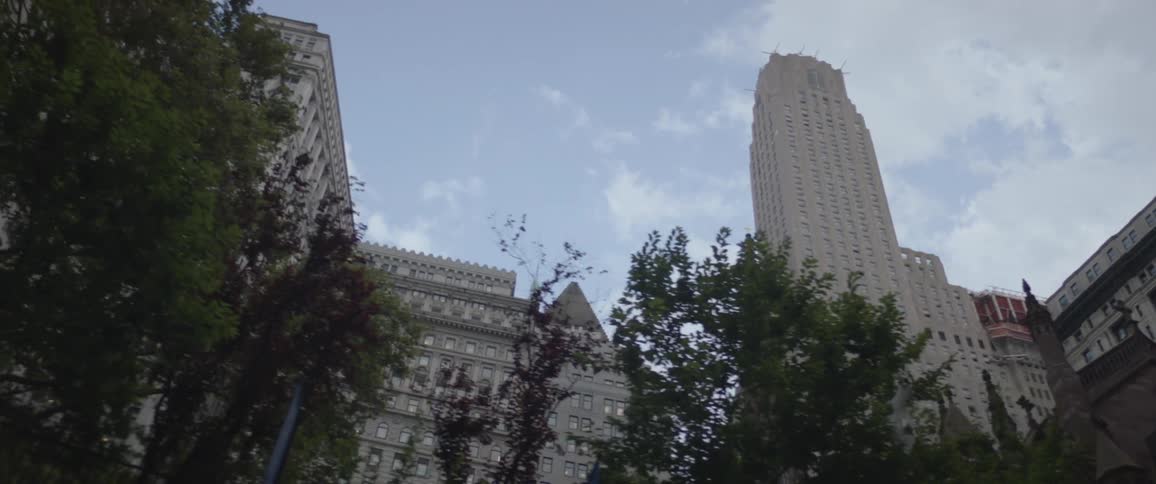 New York City Scenics