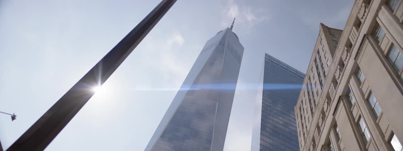New York City Scenics