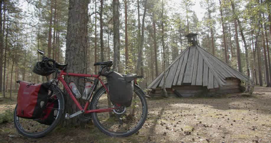 Touring bicycle by a wilderness hut in a pine forest