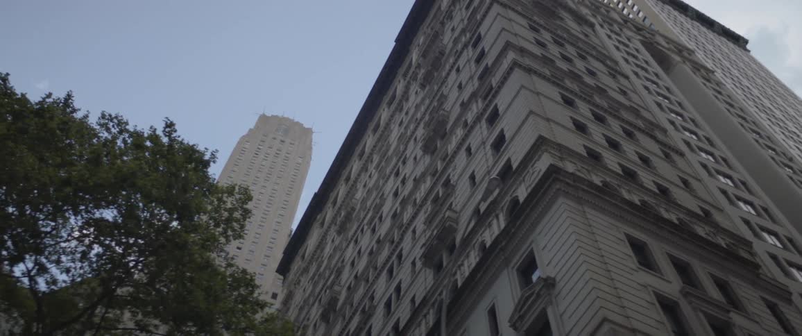 New York City Scenics